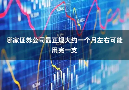 哪家证券公司最正规大约一个月左右可能用完一支